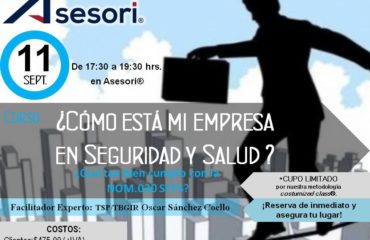 Curso Seguridad Salud